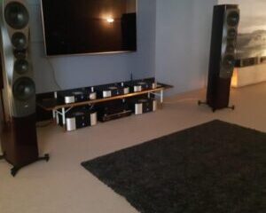 Dynaudio-Confidence-60-Column-Speaker-Main-image-300x300